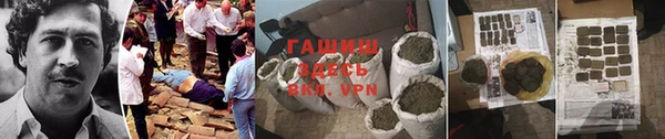 гидра Алексеевка